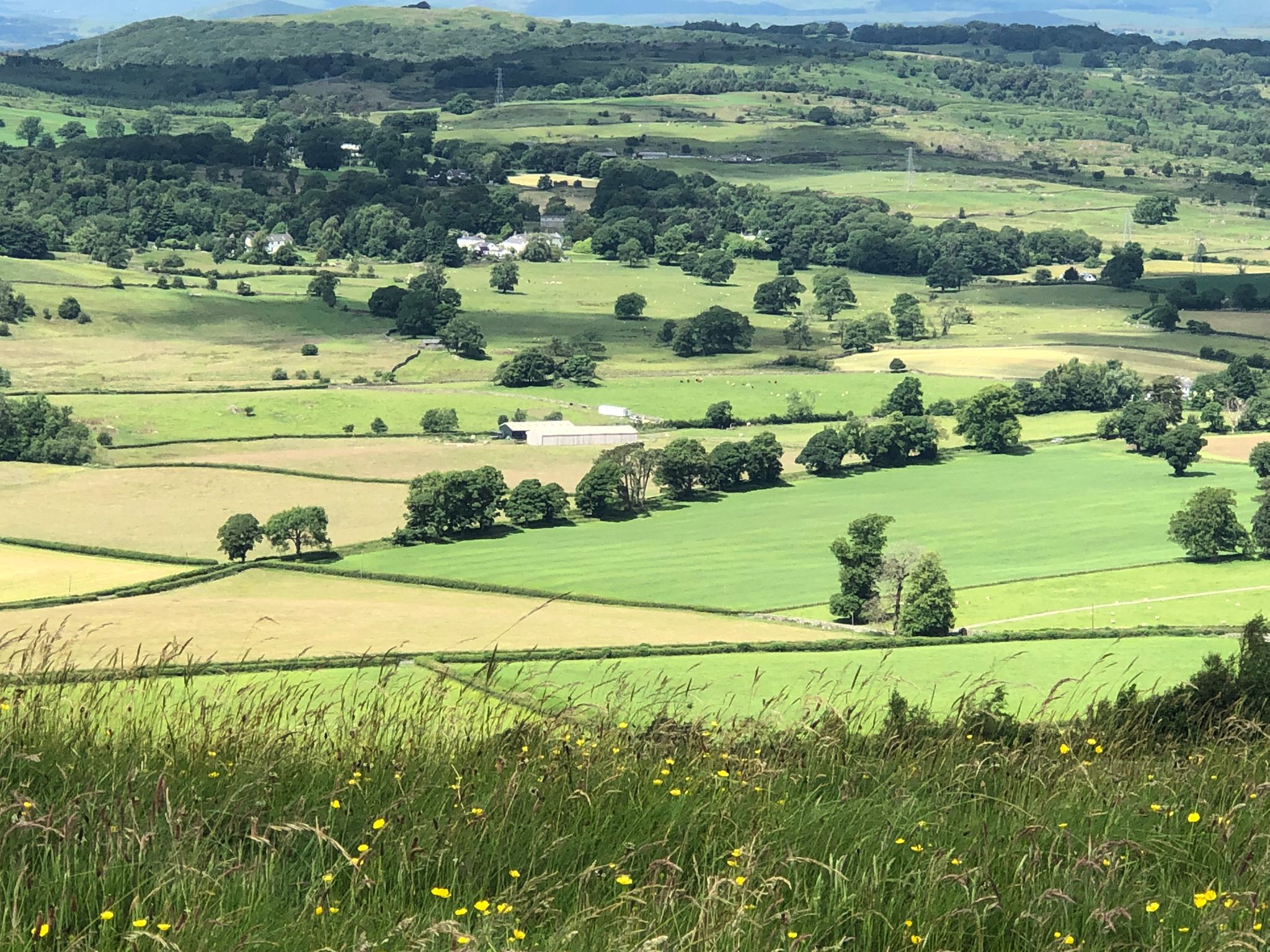 A green village and planned landscape viewed from over a hill